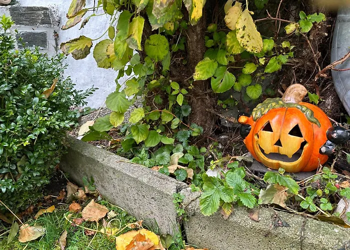 Komfortzimmer 公寓